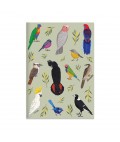 Pocket Notebook | Iconic Birds of Australia | Blank